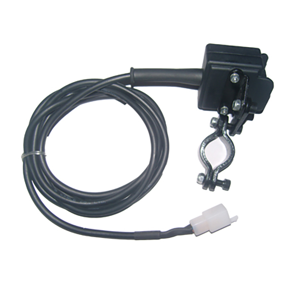 Handlebar Remote